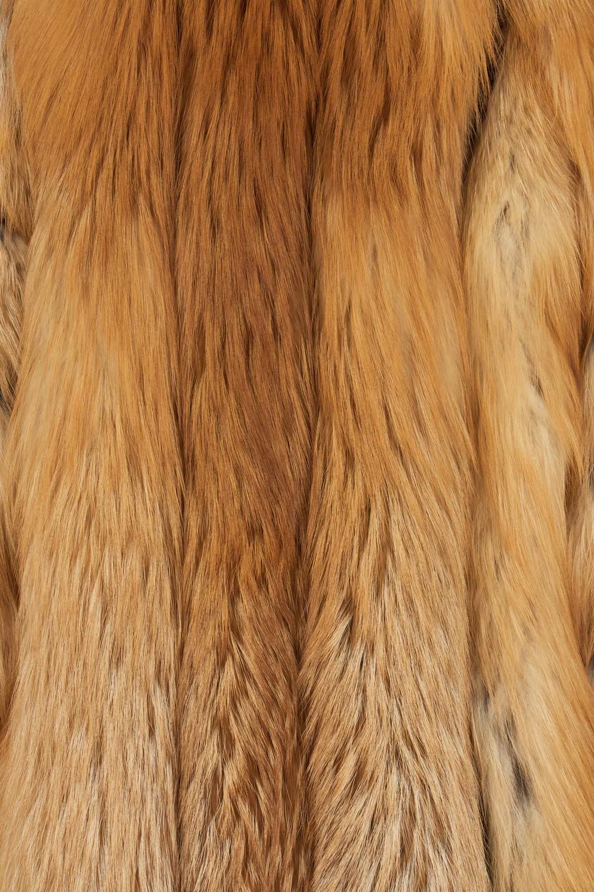 PELLICCE_MARLENEVOLPE_KAMCHATKA_Image_3