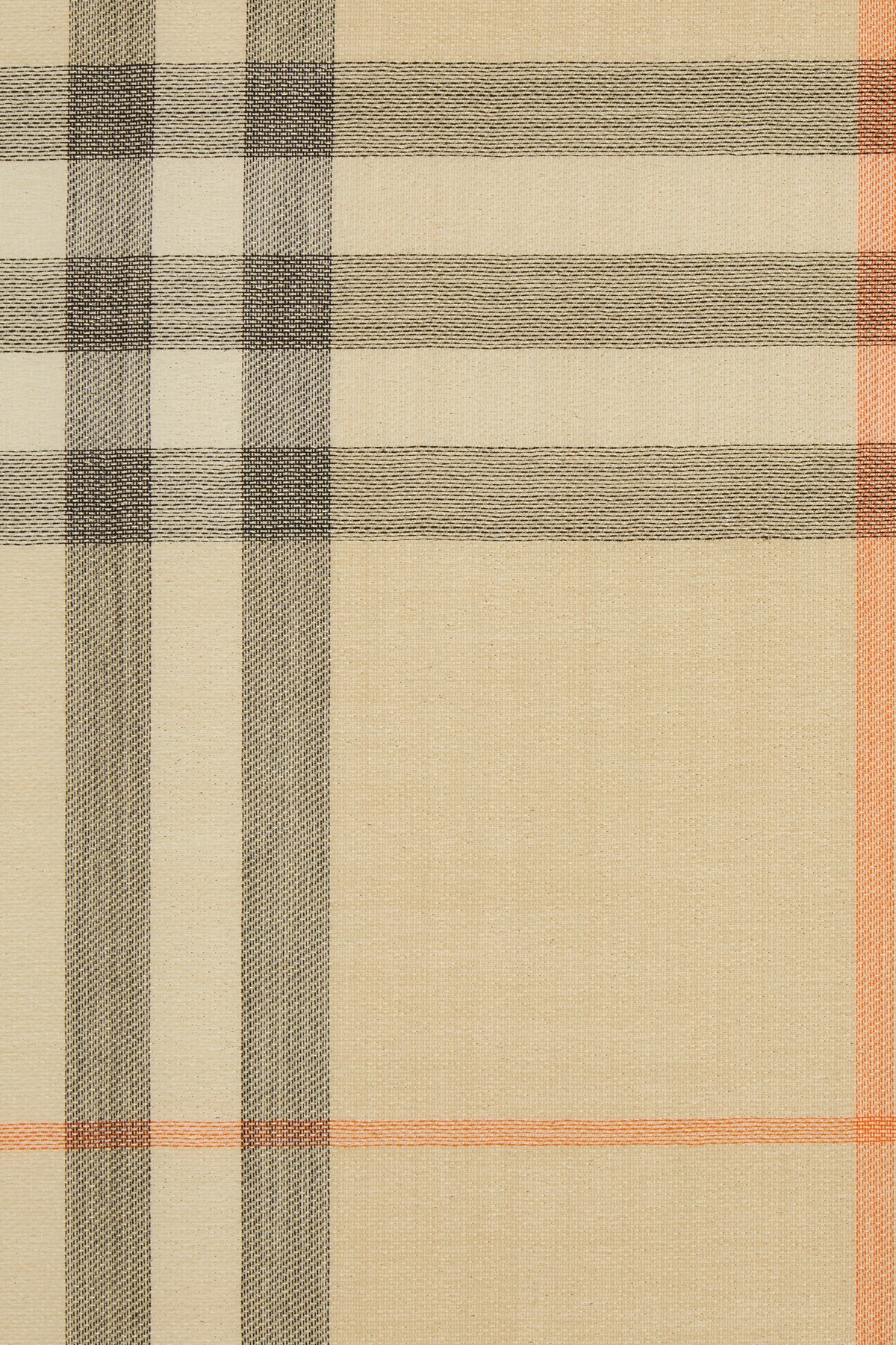 SCIARPE_FOULARD_8106063_A2021_Image_3
