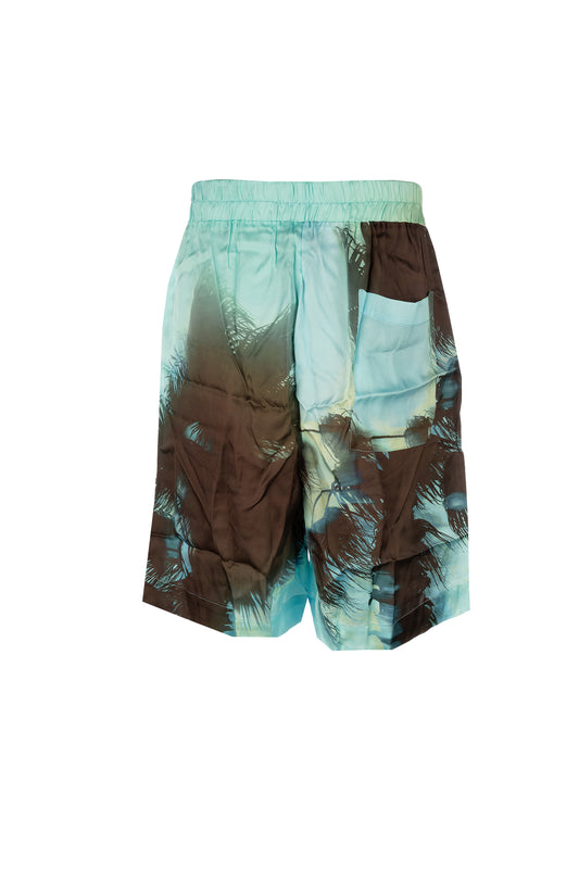 SHORTS_BRU22_VAR1_Image_2