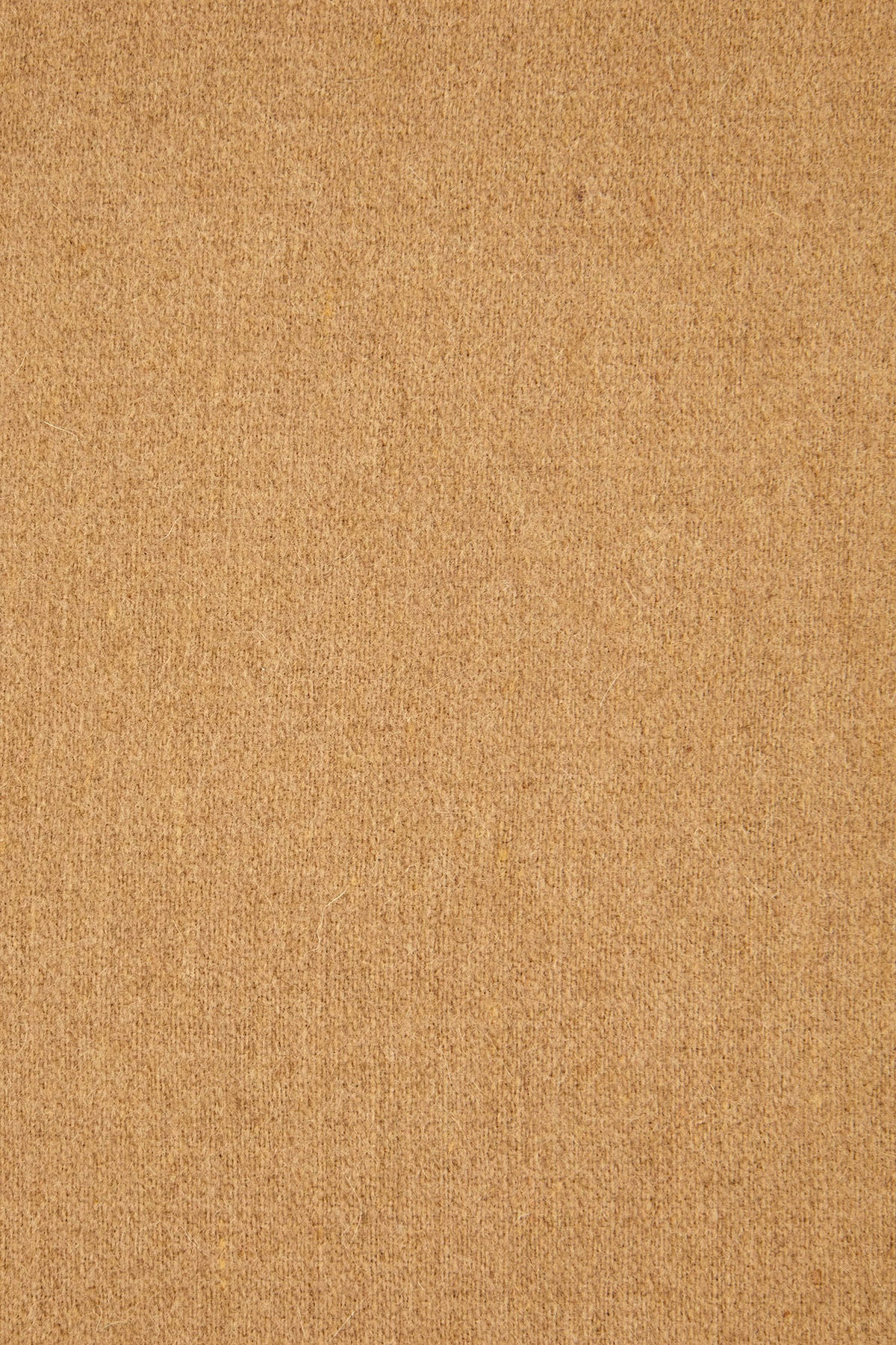 Sciarpa_cammello_in_lana_e_cashmere_2624546022600_003_Image_3