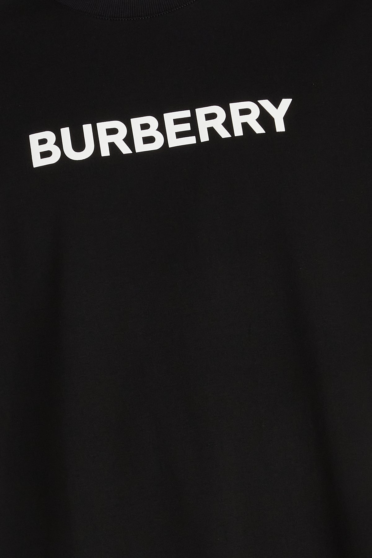T-SHIRT_8055307_A1189_Image_3