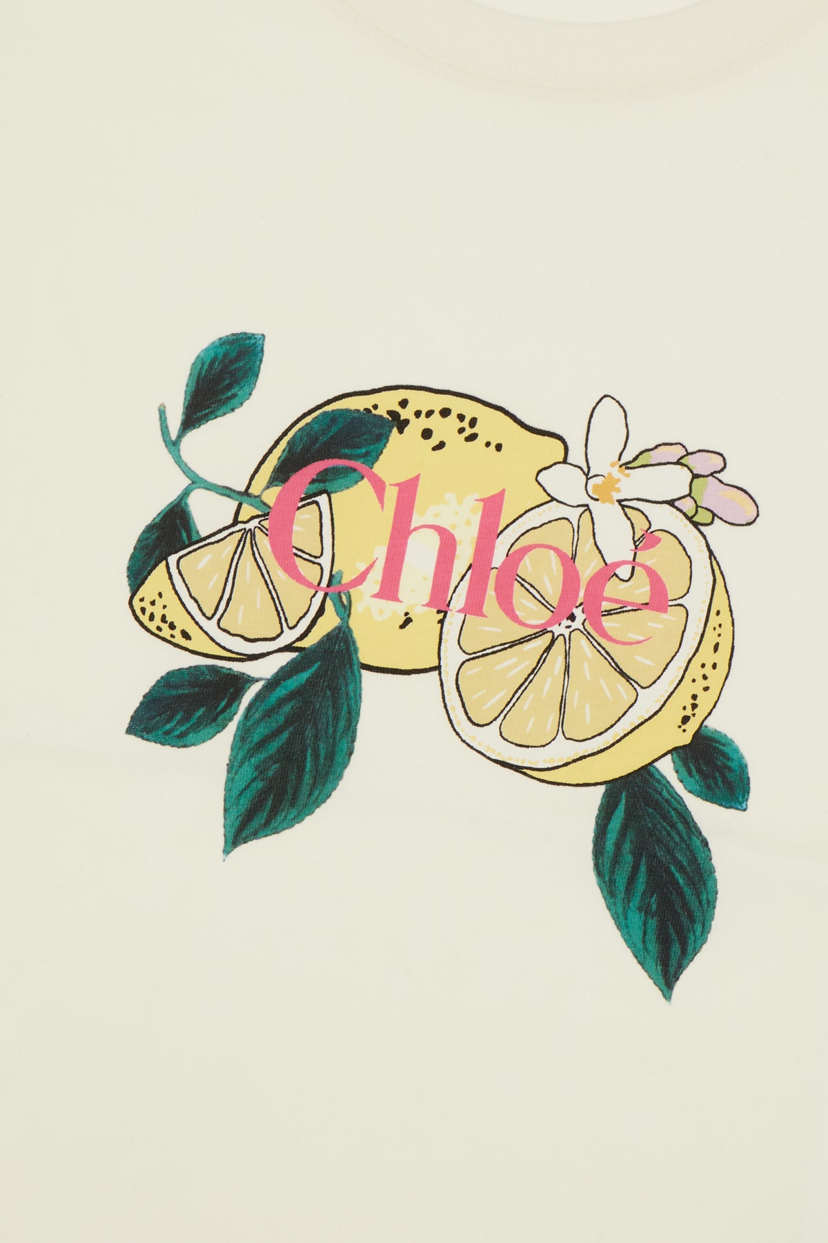T-SHIRT_CH26AJH08981_107_Image_3