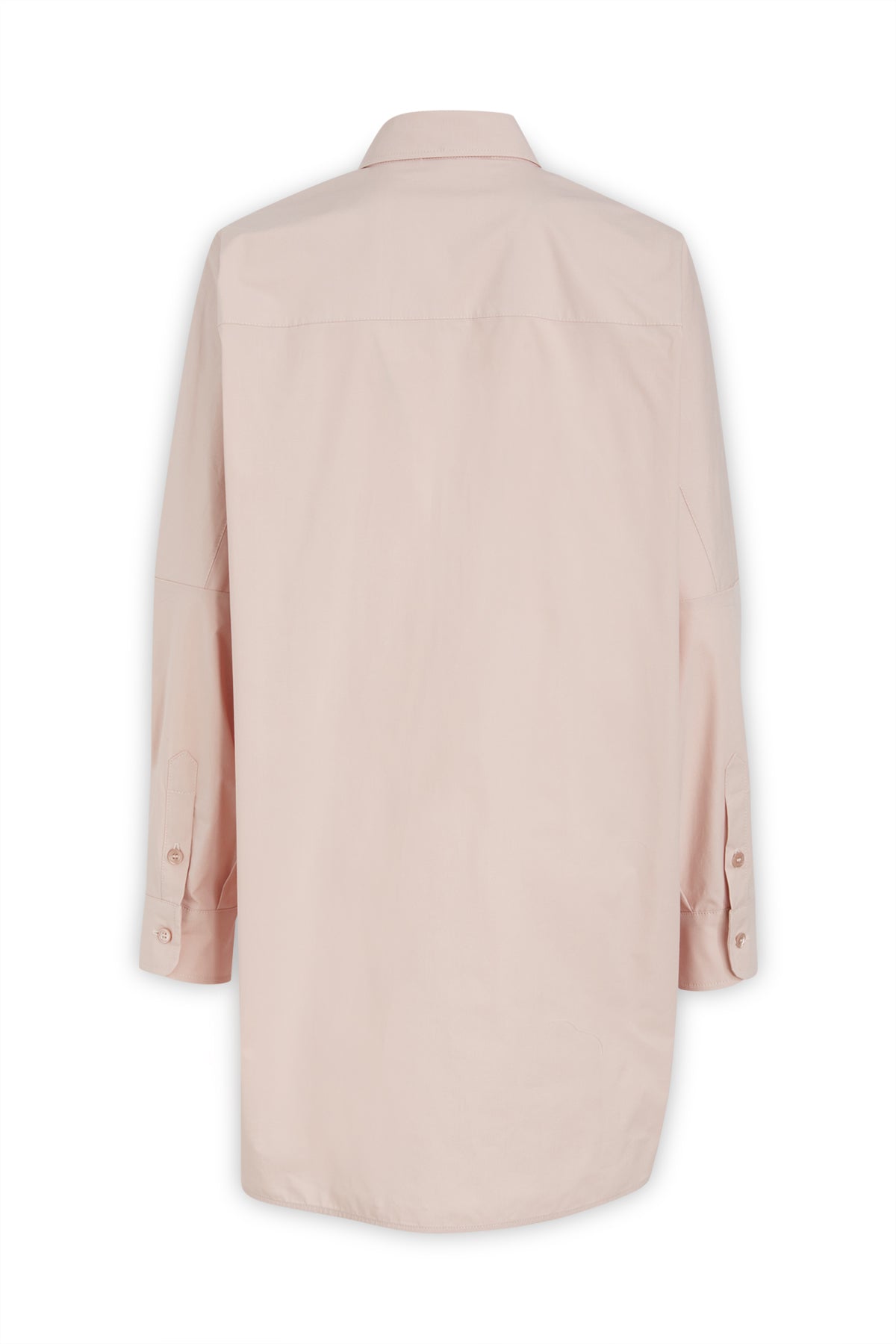 CAMICIE_BLUSE_02122120_A0226_Image_2