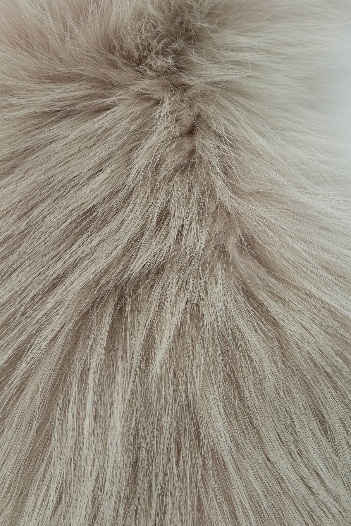 CAPISPALLA_1671981CS4F0236_F0236_Image_2