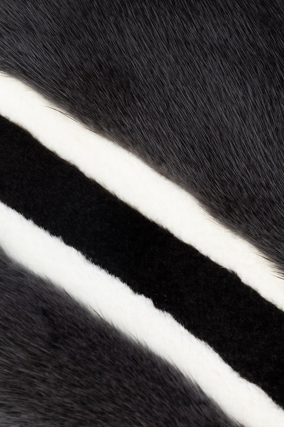 CAPISPALLA_43FUR200A802880_0880_Image_2