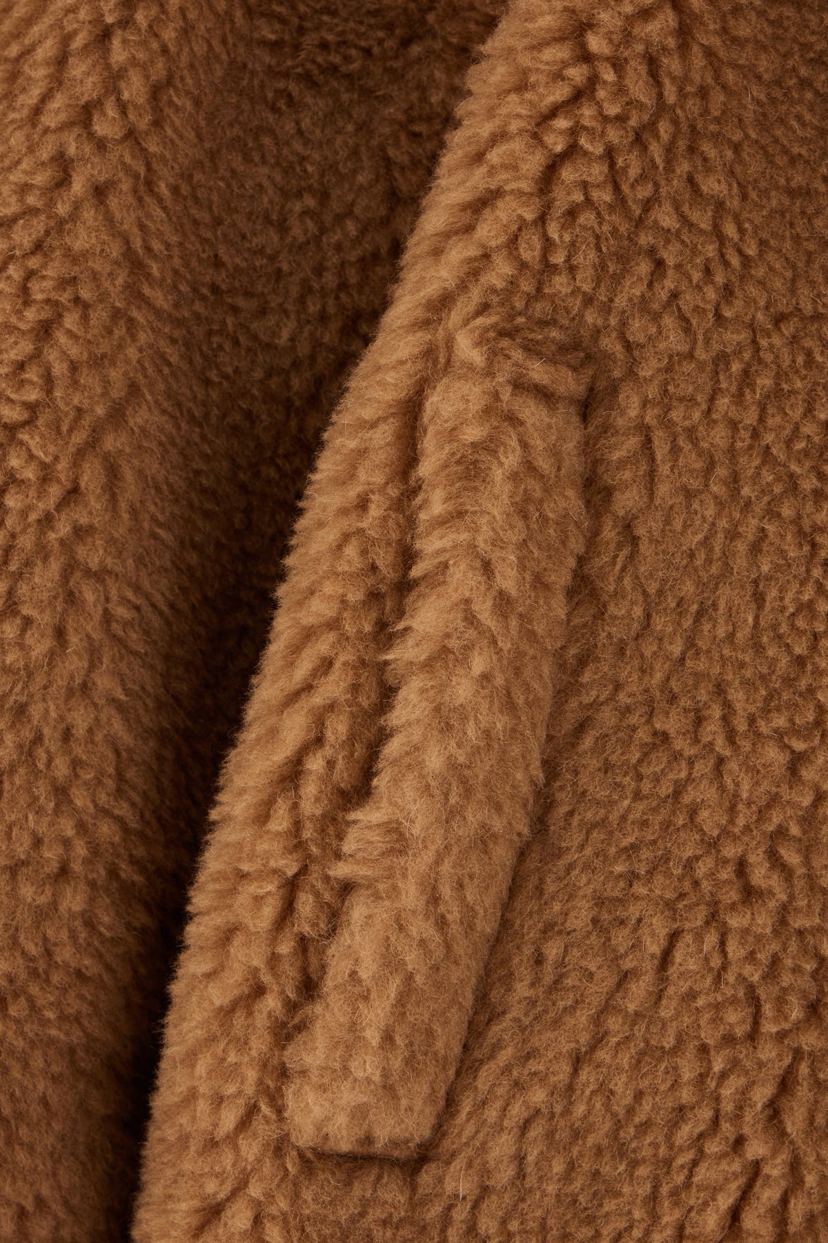 CAPPOTTI_TEDDY_001_Image_3
