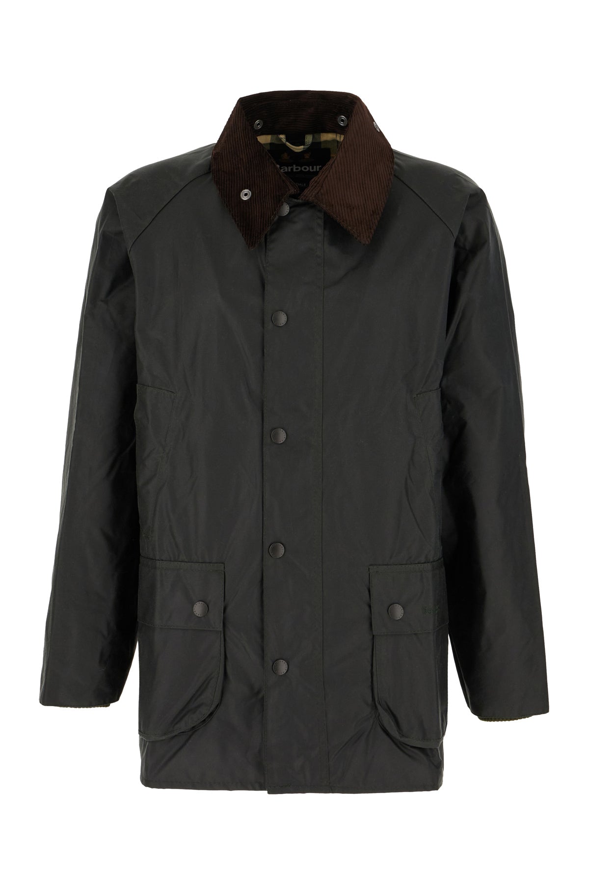 GIUBBINI_MWX0018MWX_SG91_Image_1