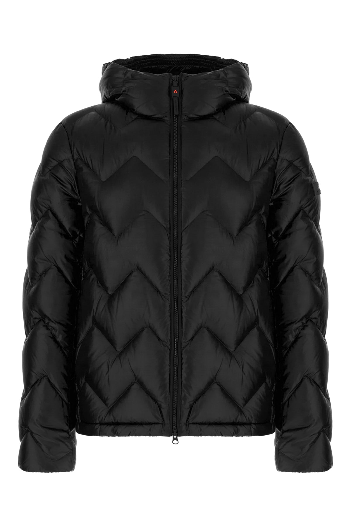 GIUBBINI_PEU558101181950_NER_Image_1