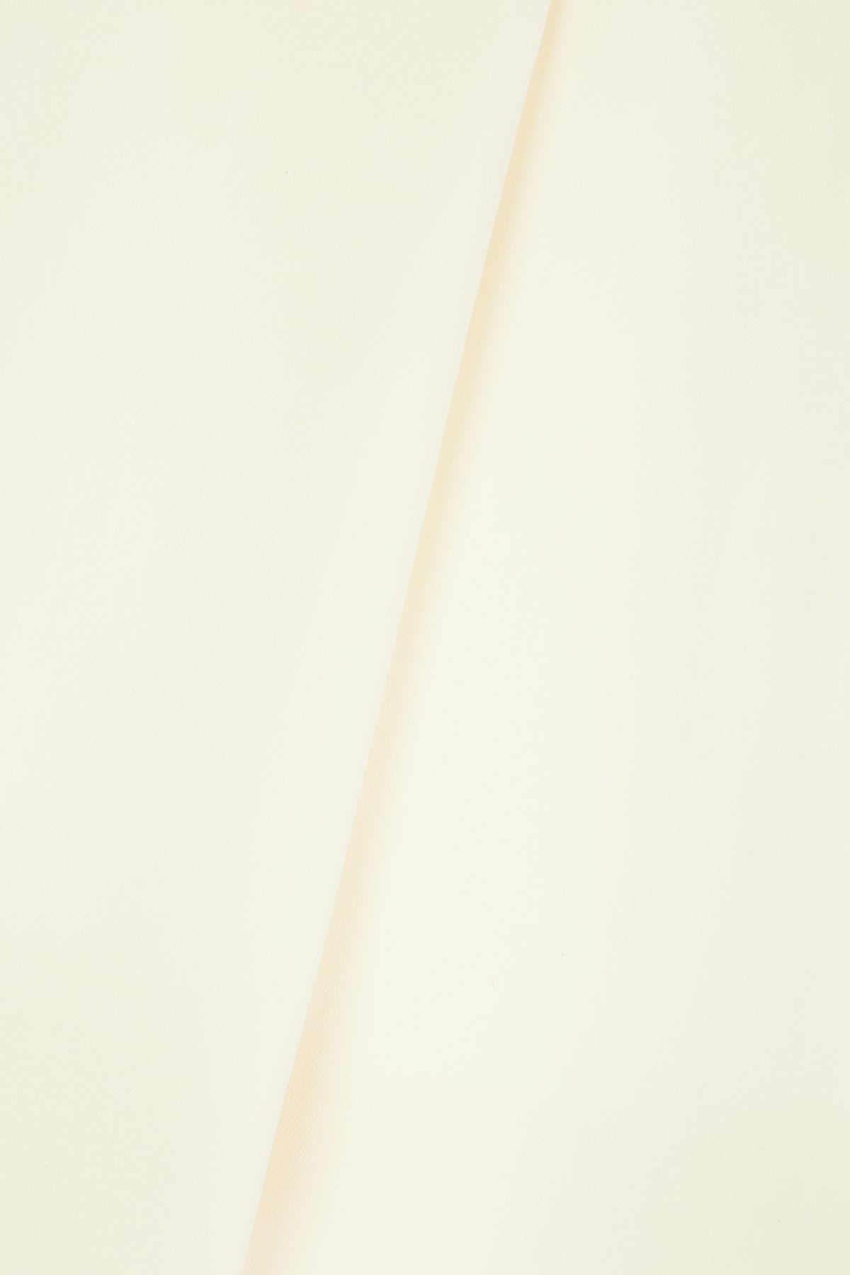 GONNE_F4CJGTFUBGC_W0001_Image_3