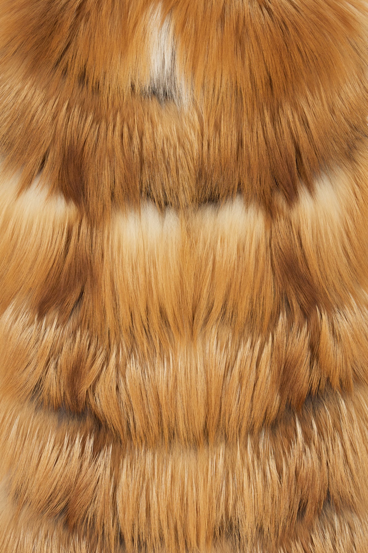 PELLICCE_26V027VOLPE_KAMCHATKA_Image_3