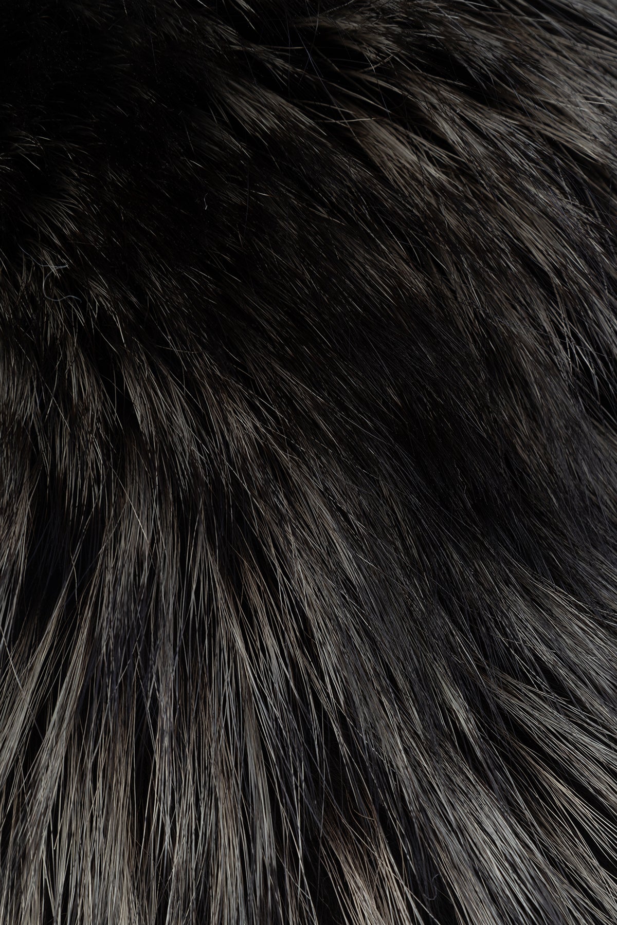 PELLICCE_41FUR455A824839_839_Image_2