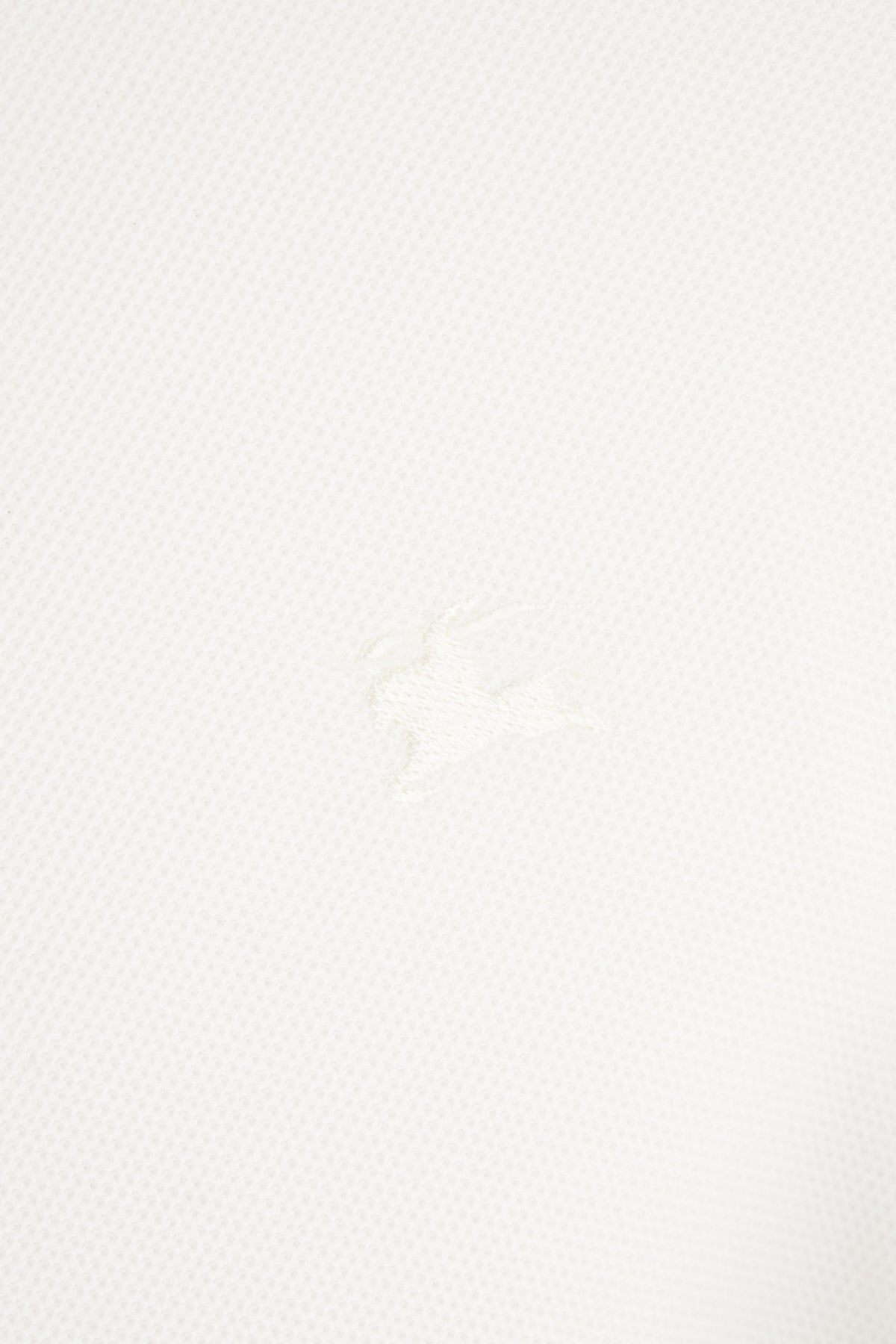 POLO_8126955_B7078_Image_3