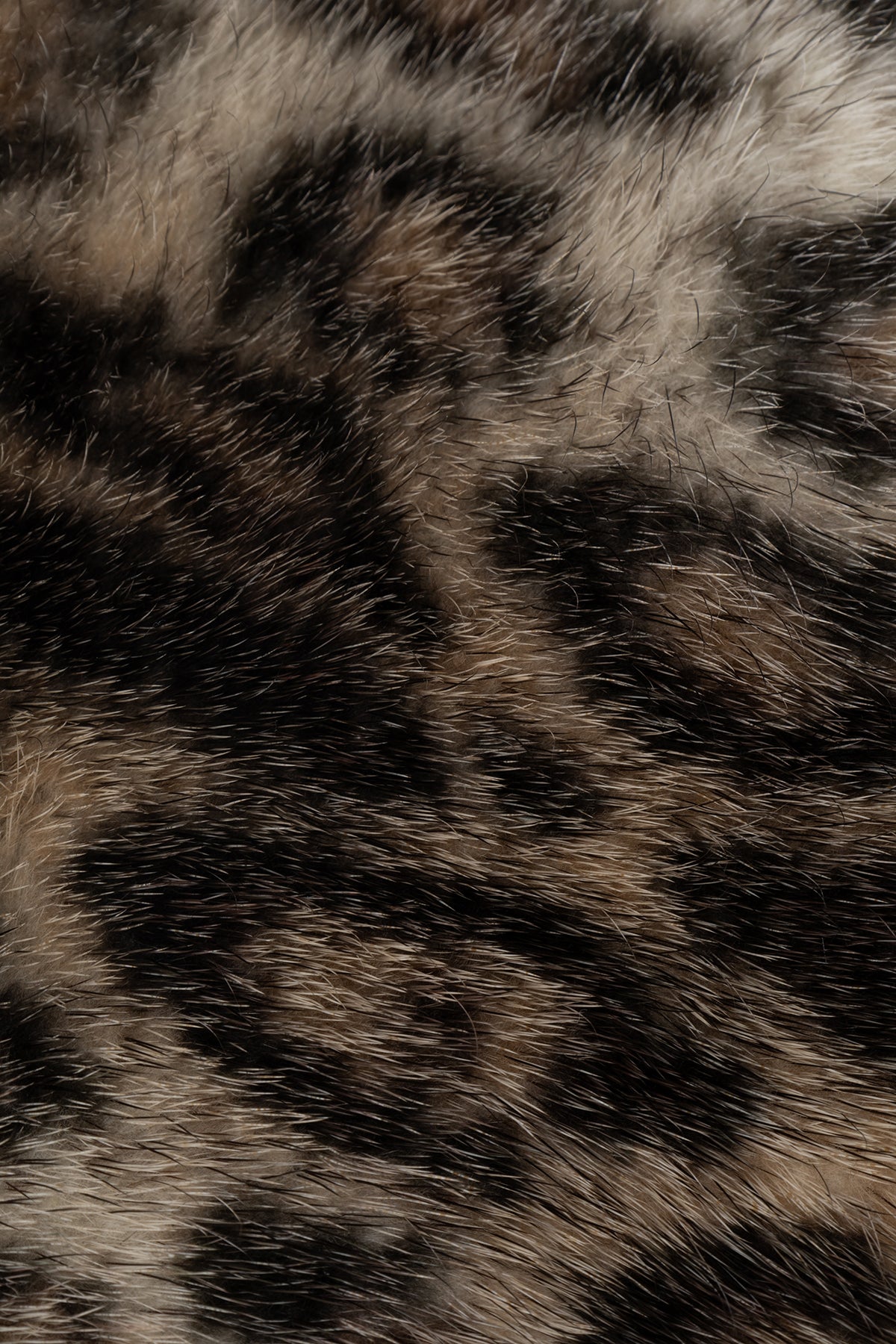 SCIARPE_FOULARD_41FUR256A807182_182_Image_2
