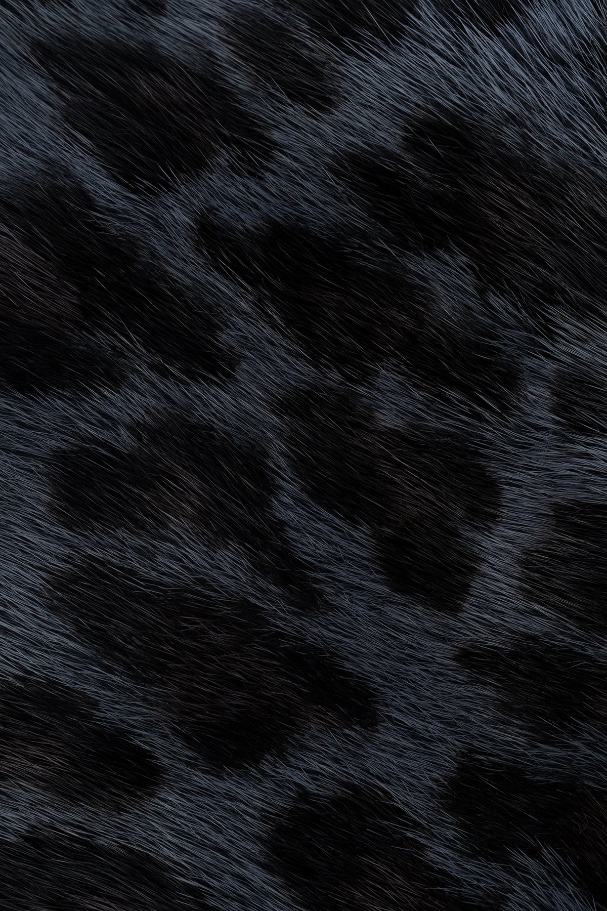 SCIARPE_FOULARD_41SFR457I805986_986_Image_2
