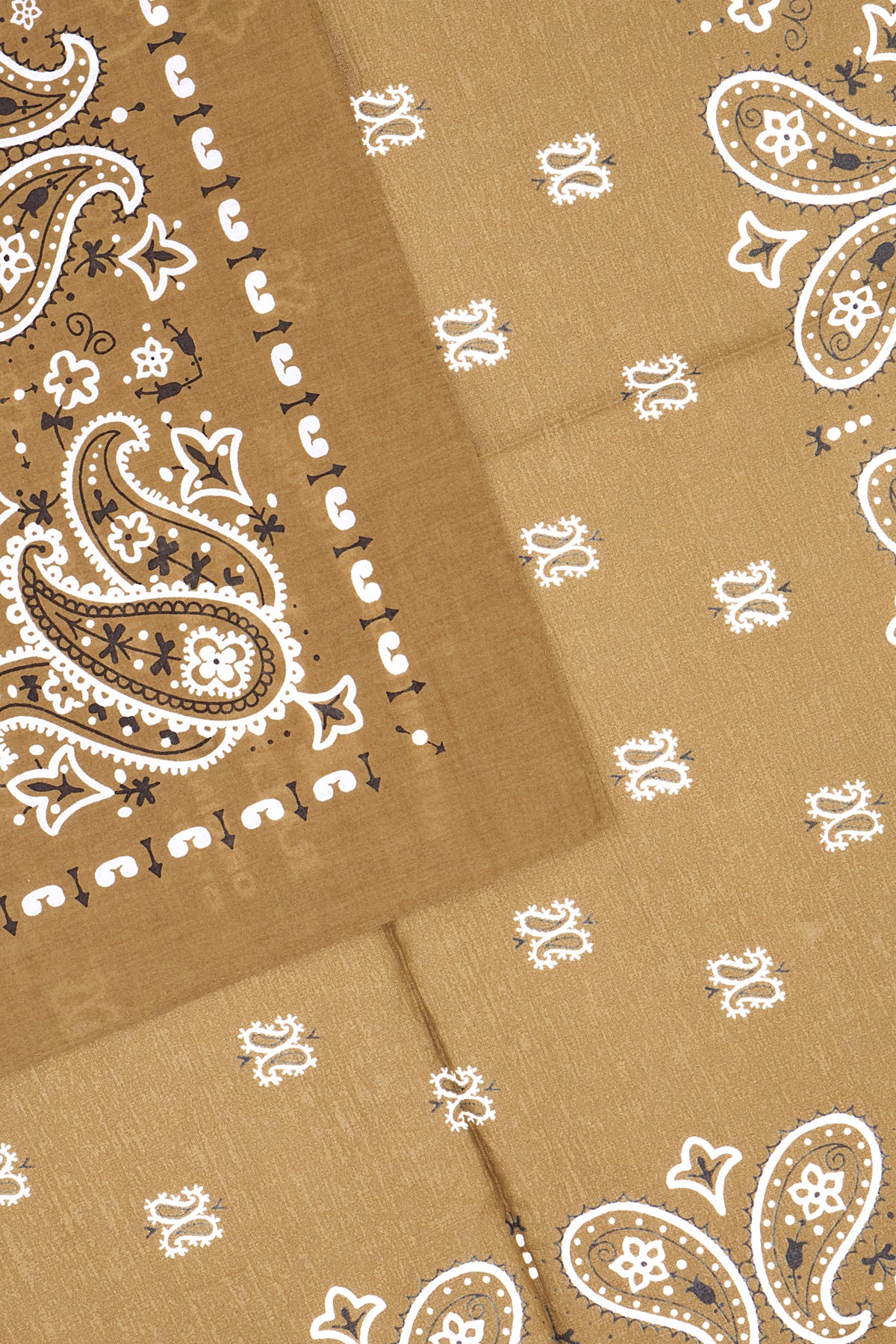 SCIARPE_FOULARD_449959470_011_Image_2