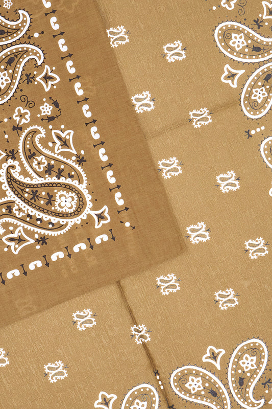 SCIARPE_FOULARD_449959470_011_Image_2