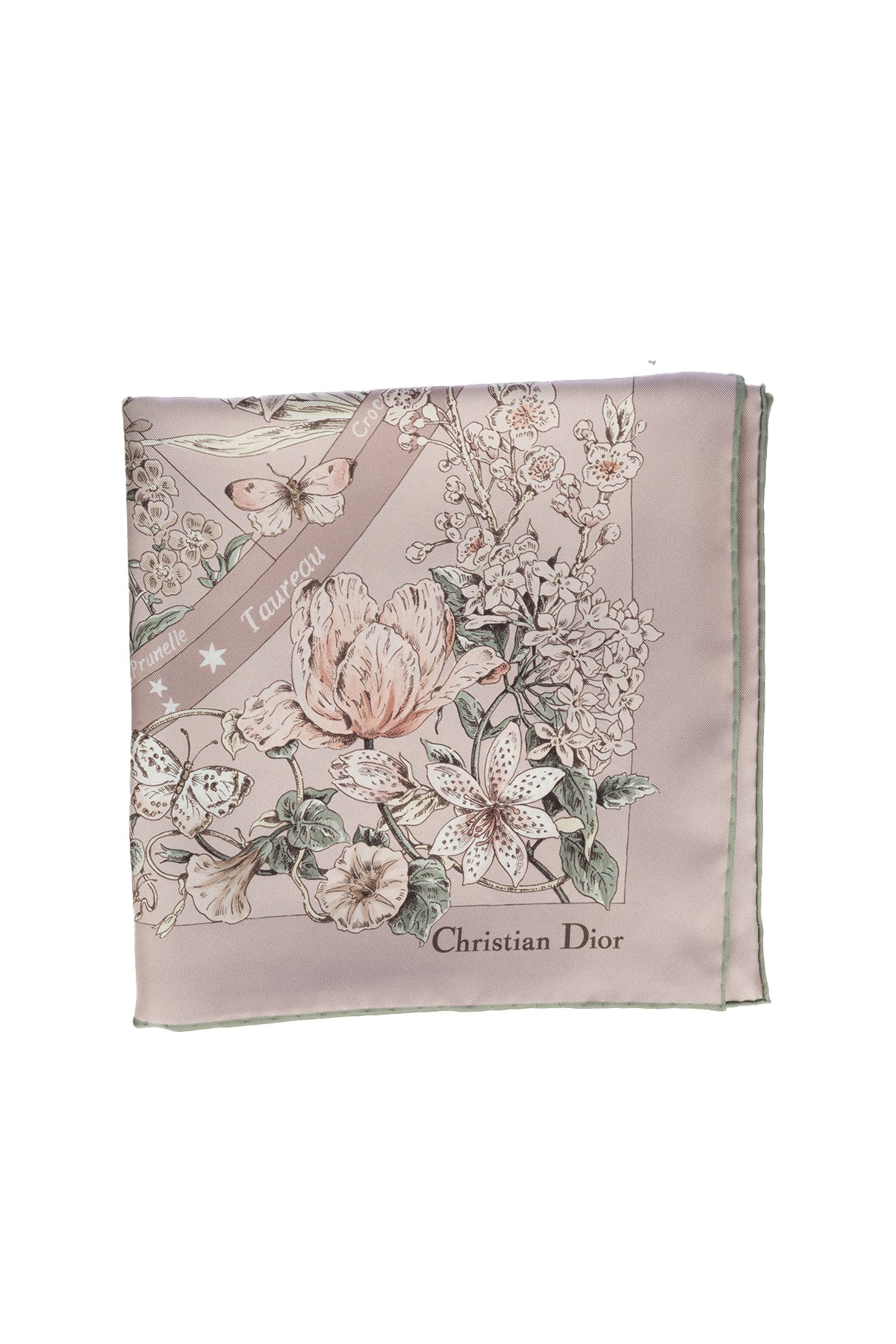 SCIARPE_FOULARD_55FWC090I63_C435_Image_1