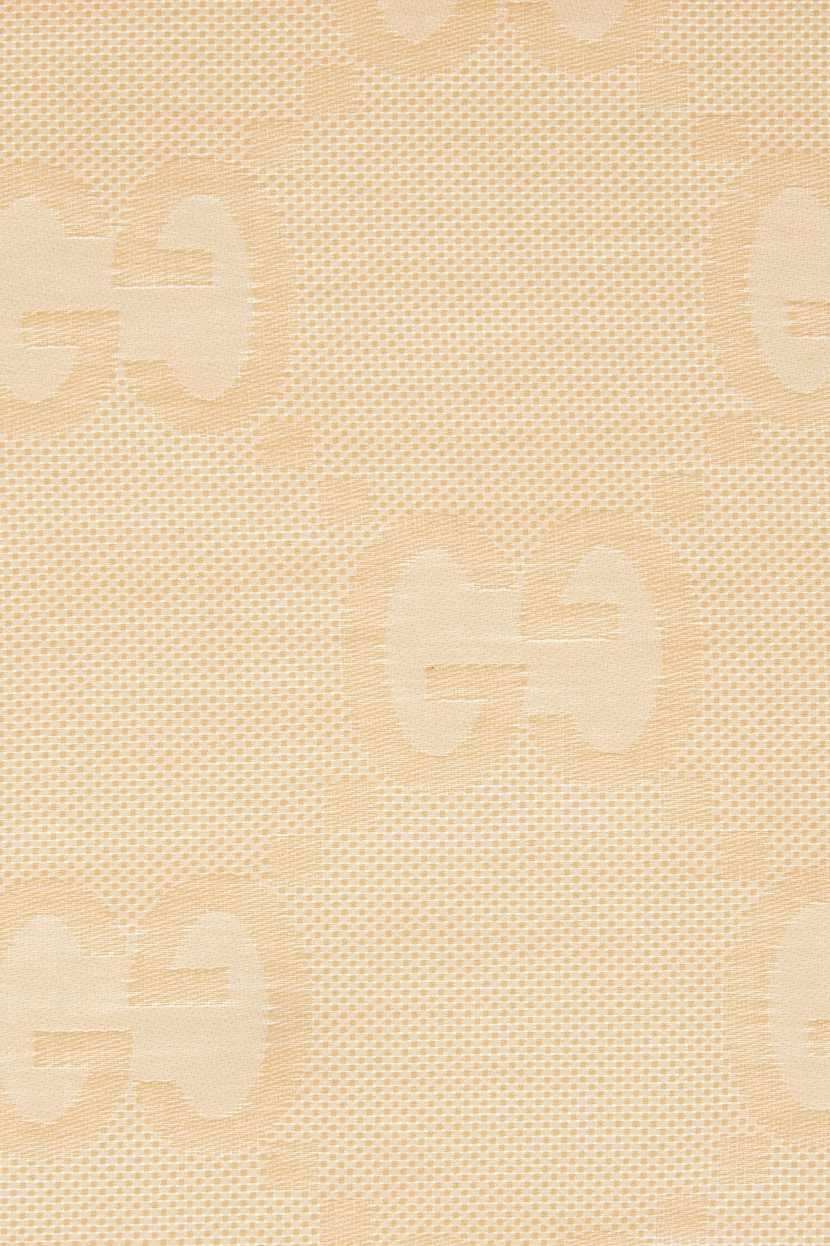 SCIARPE_FOULARD_7911513GC68_9878_Image_3