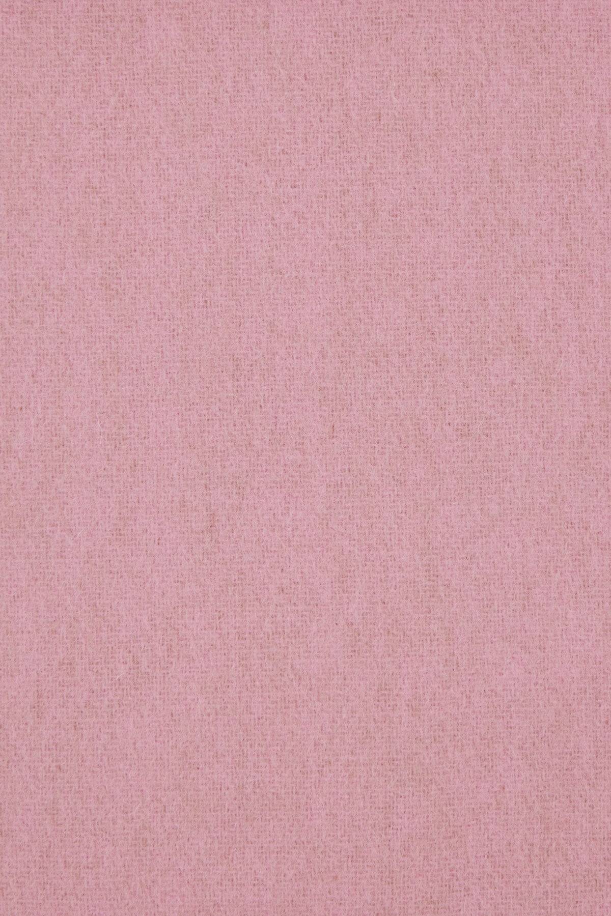 SCIARPE_FOULARD_81030006W00ZH_G402_Image_3