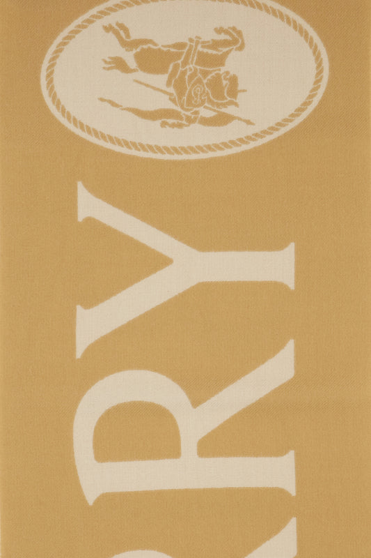 SCIARPE_FOULARD_8126859_A2021_Image_2