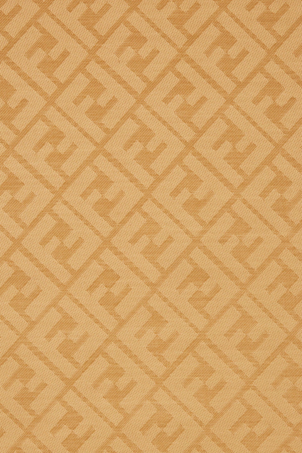 SCIARPE_FOULARD_FXT069AJW7_F0QB8_Image_3