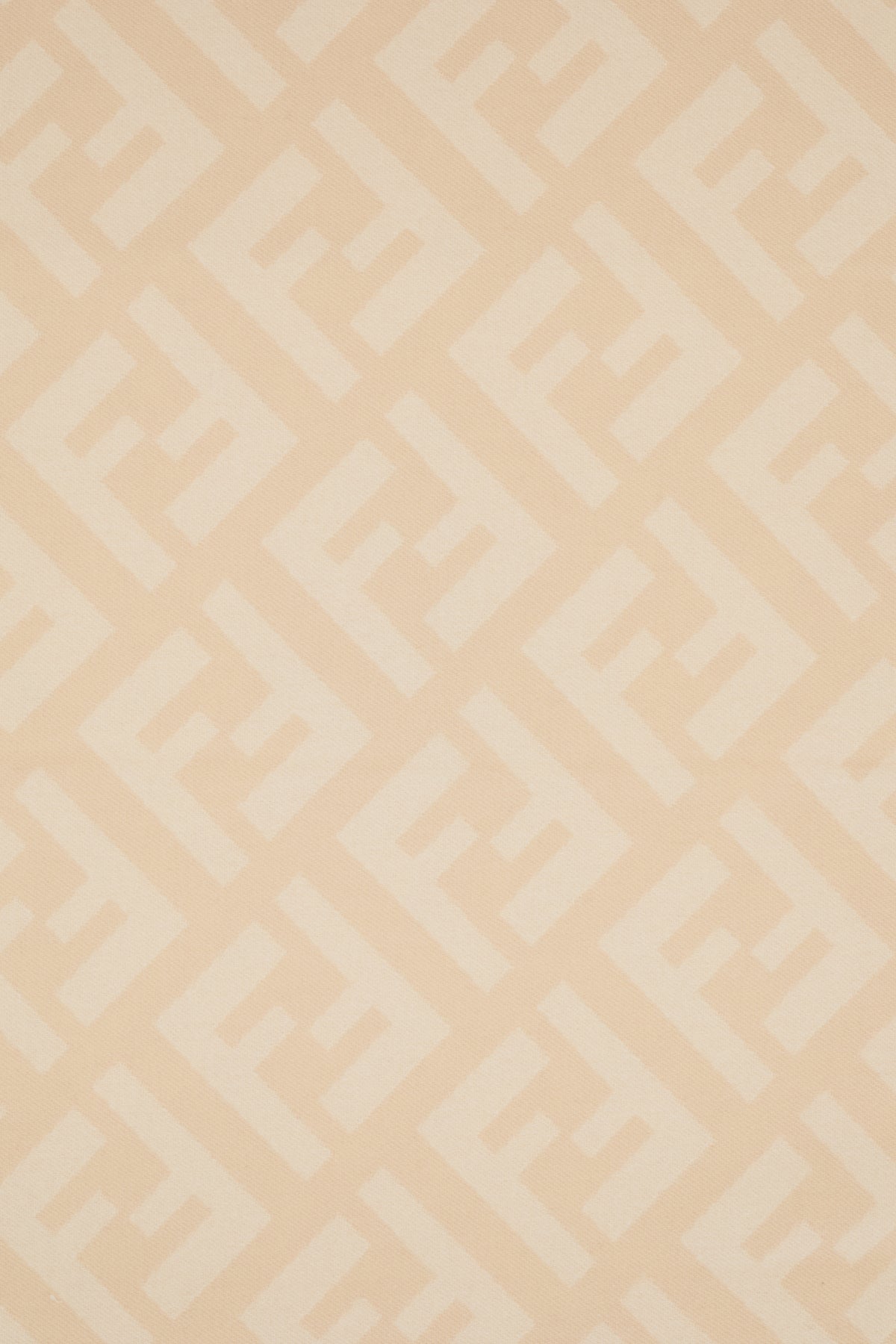 SCIARPE_FOULARD_FXT260A8RS_F0QB9_Image_3