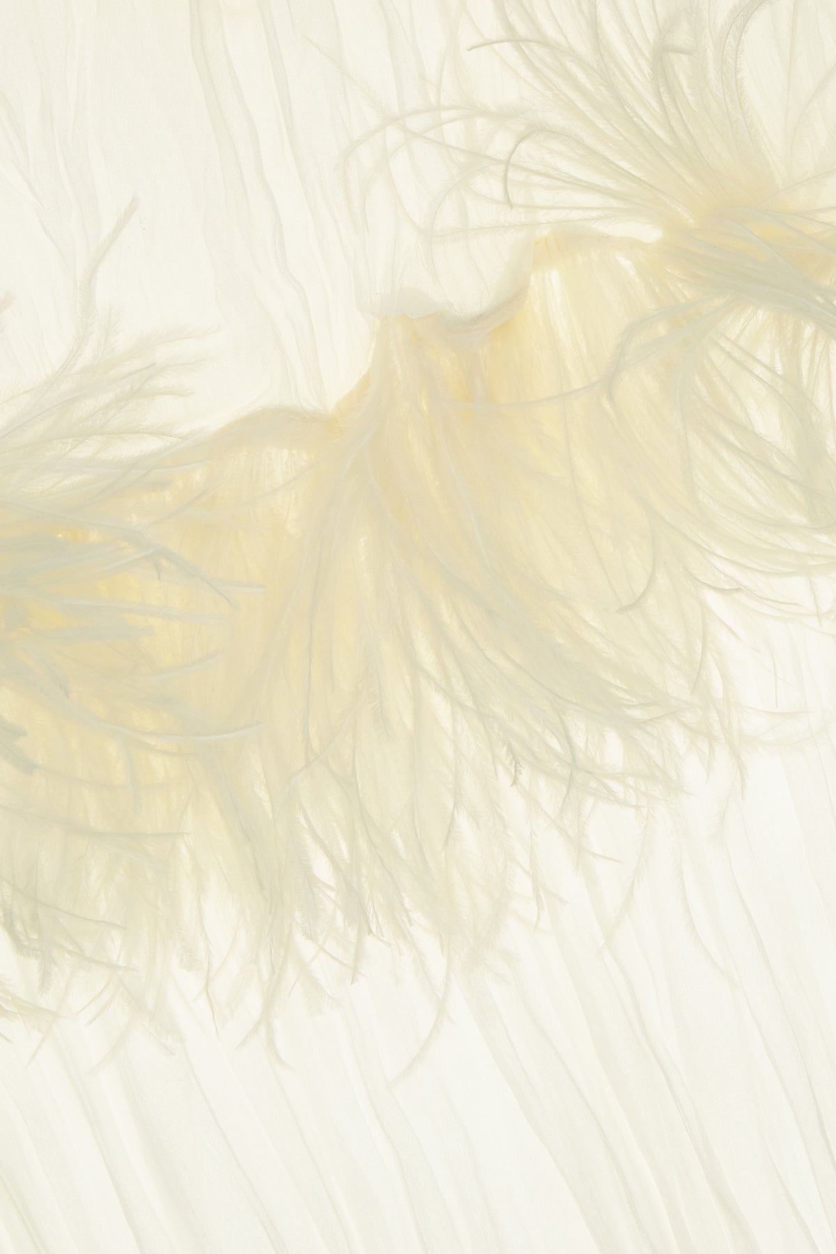 SCIARPE_FOULARD_VALENTINA261_120C_Image_2