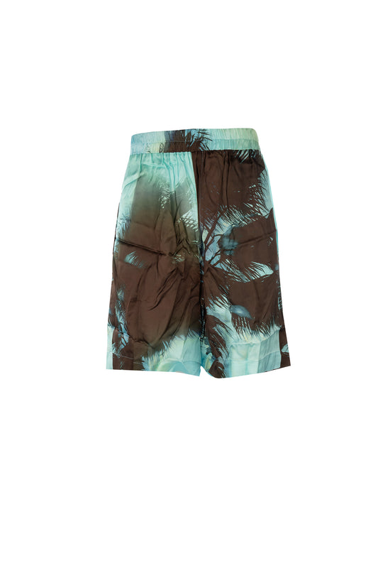 SHORTS_BRU22_VAR1_Image_1