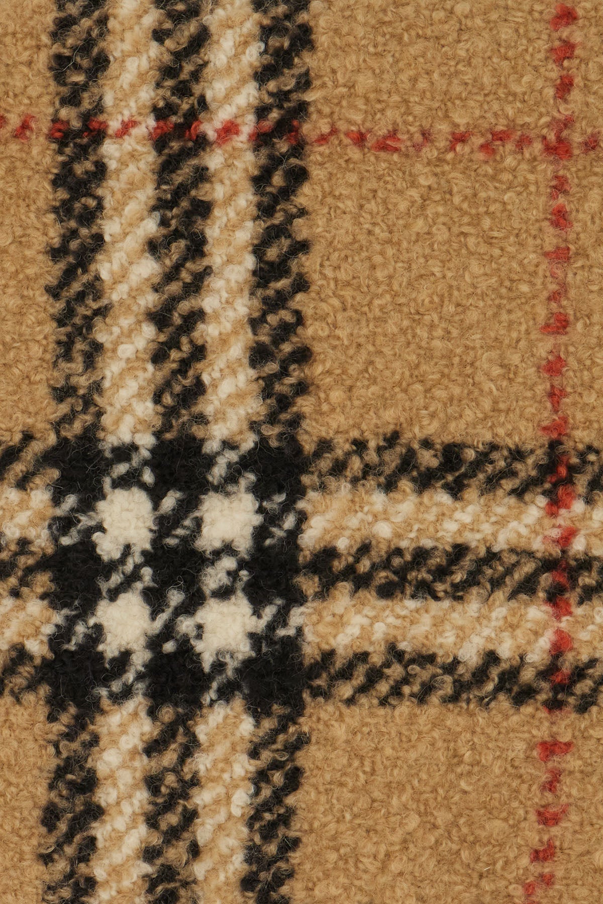 Sciarpa_in_misto_alpaca_ricamata_8118013_B9719_Image_2