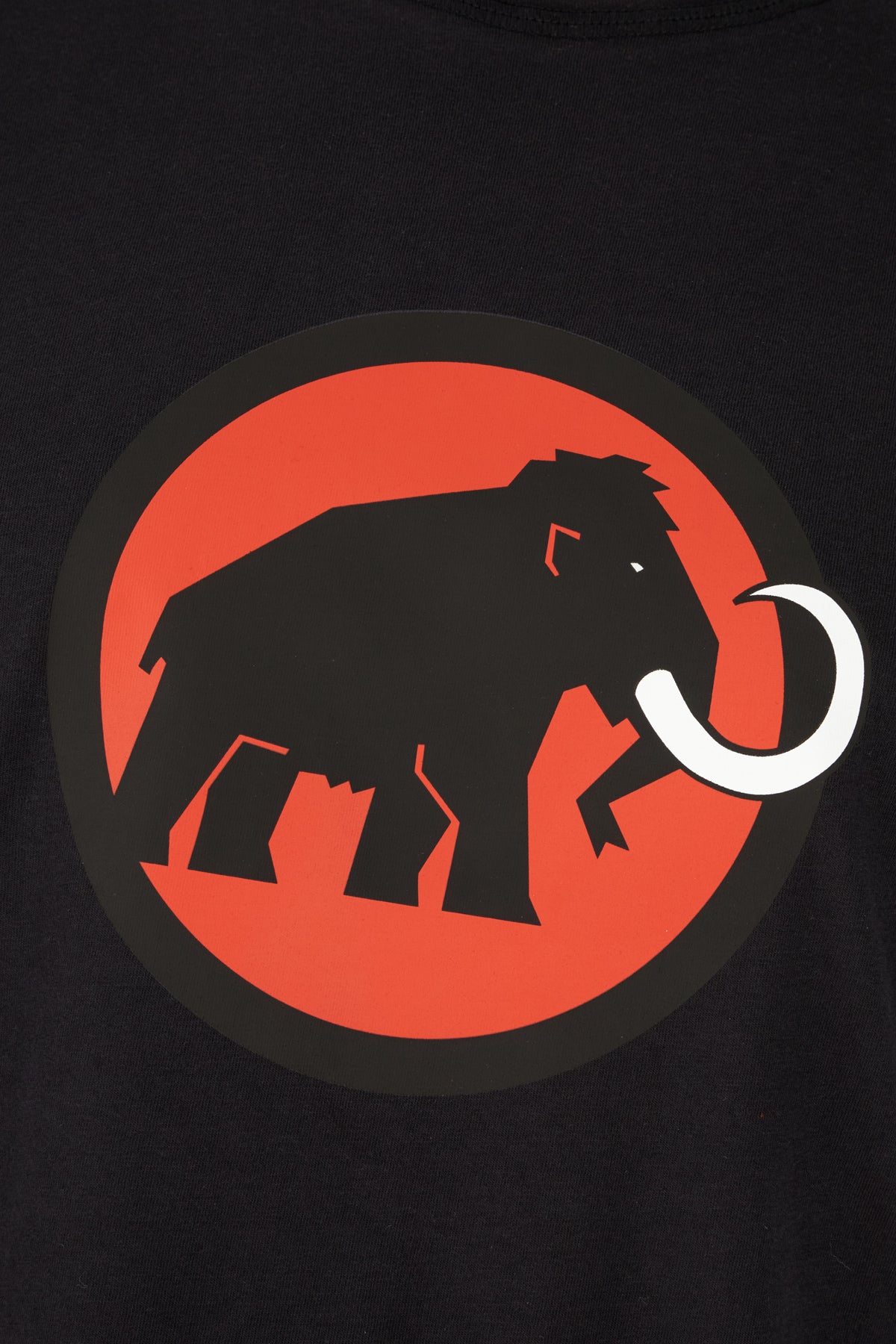 T-SHIRT_101705891_0001_Image_3