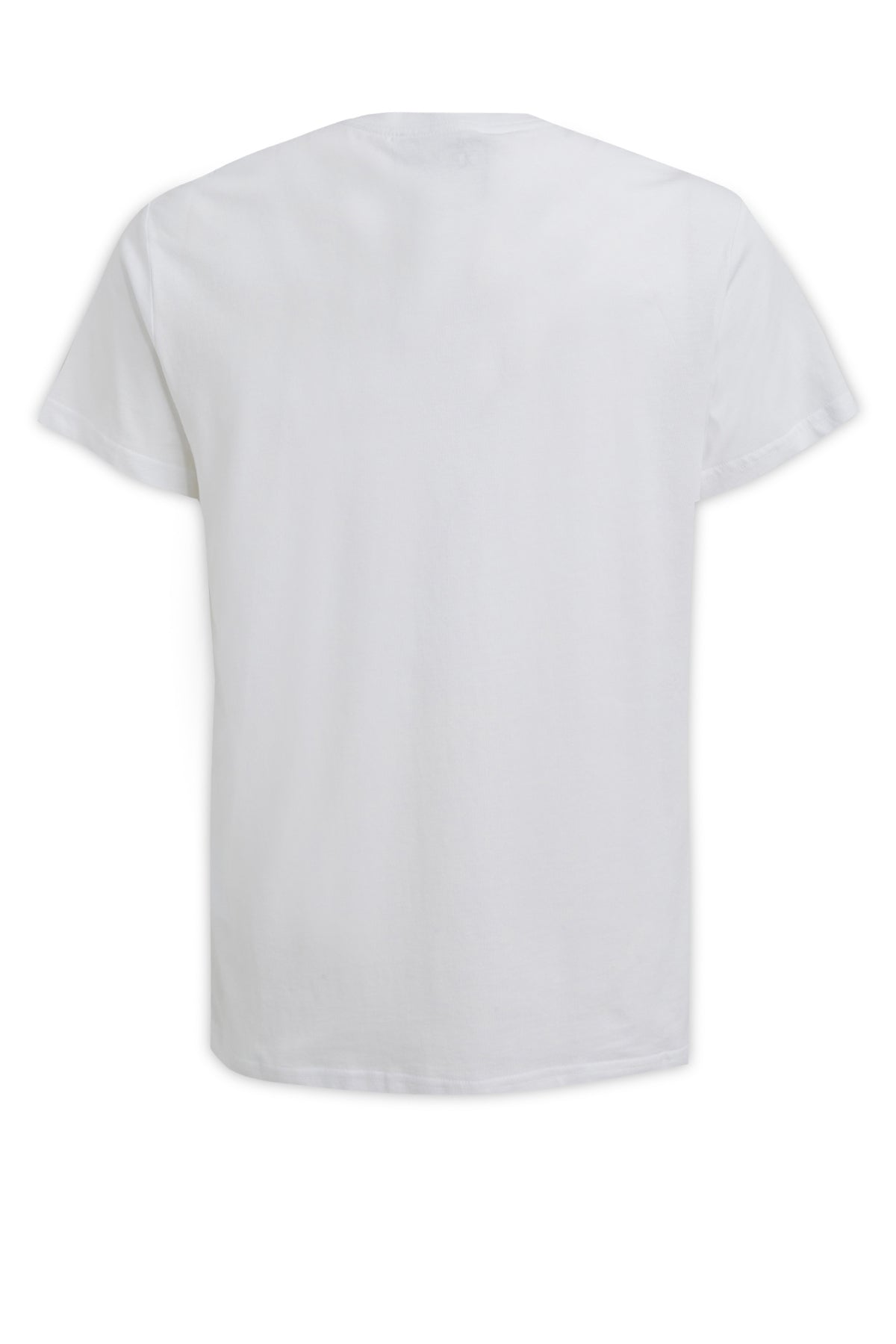 T-SHIRT_74GAH6SGJS174_G03_Image_2