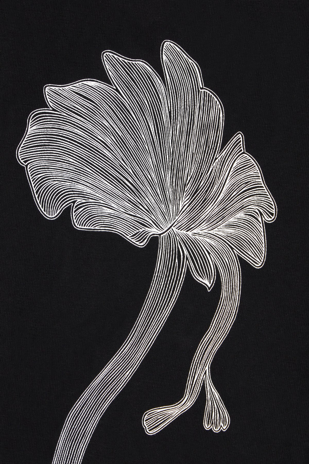 T-SHIRT_777888_001_Image_3
