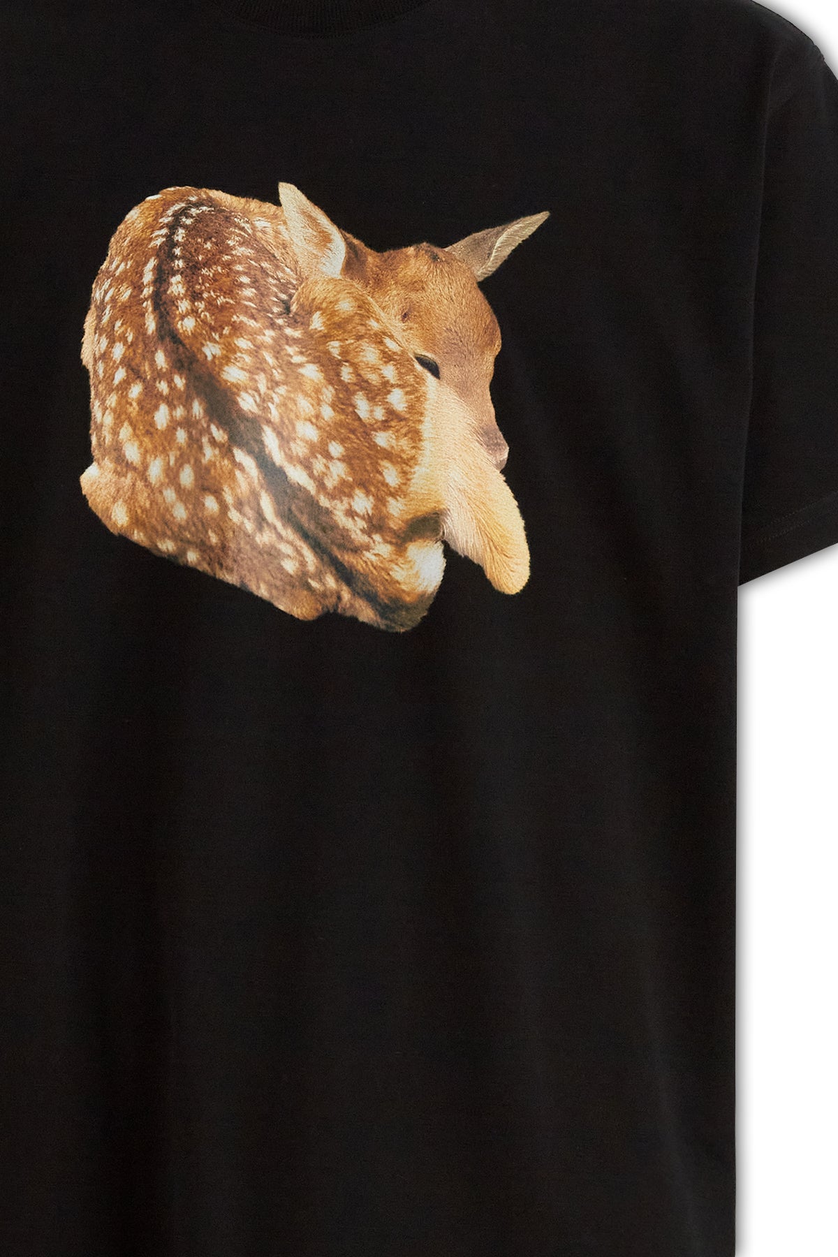 T-SHIRT_8056311_A1189_Image_3