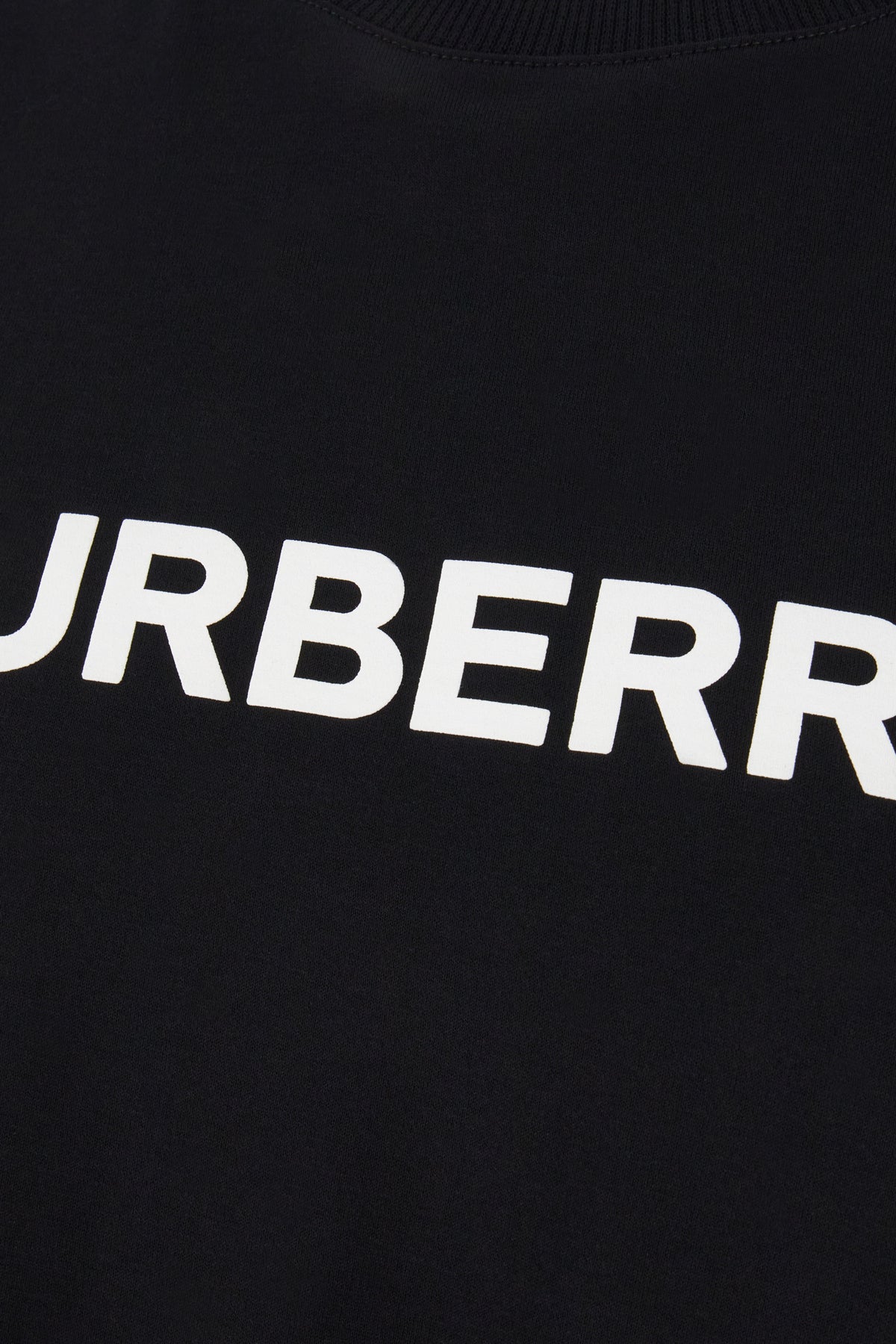 T-SHIRT_8084233_A1189_Image_3