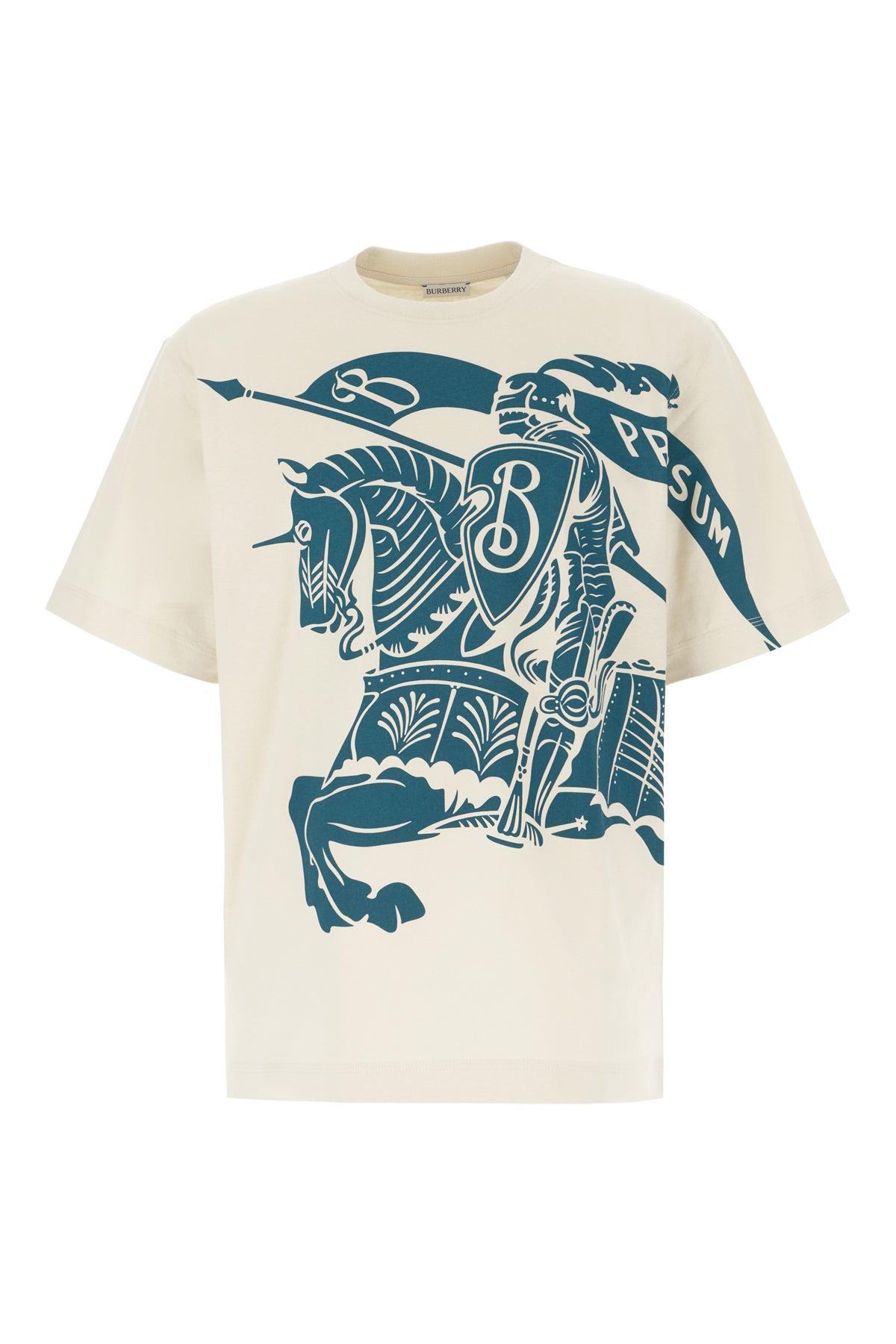 T-SHIRT_8094262_C1160_Image_1