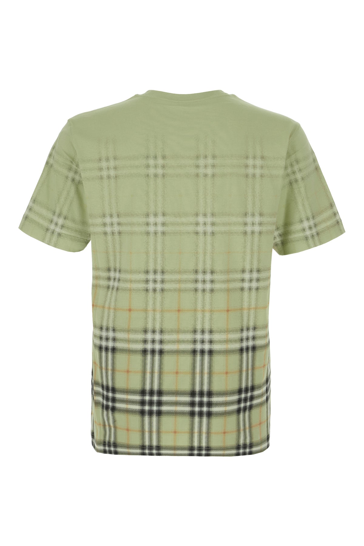 T-SHIRT_8119023_C4053_Image_2