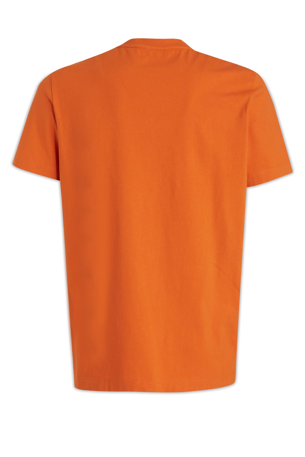 T-SHIRT_8C000648390T_336_Image_2