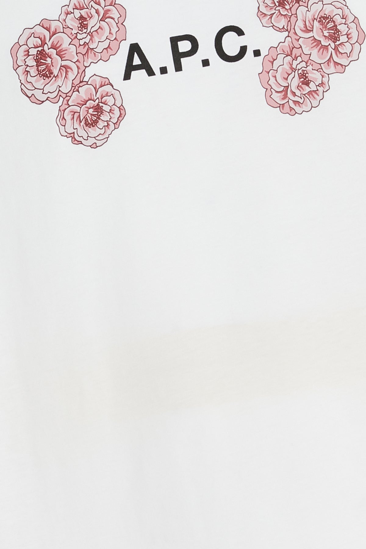 T-SHIRT_COEIOM26246_AAB_Image_3