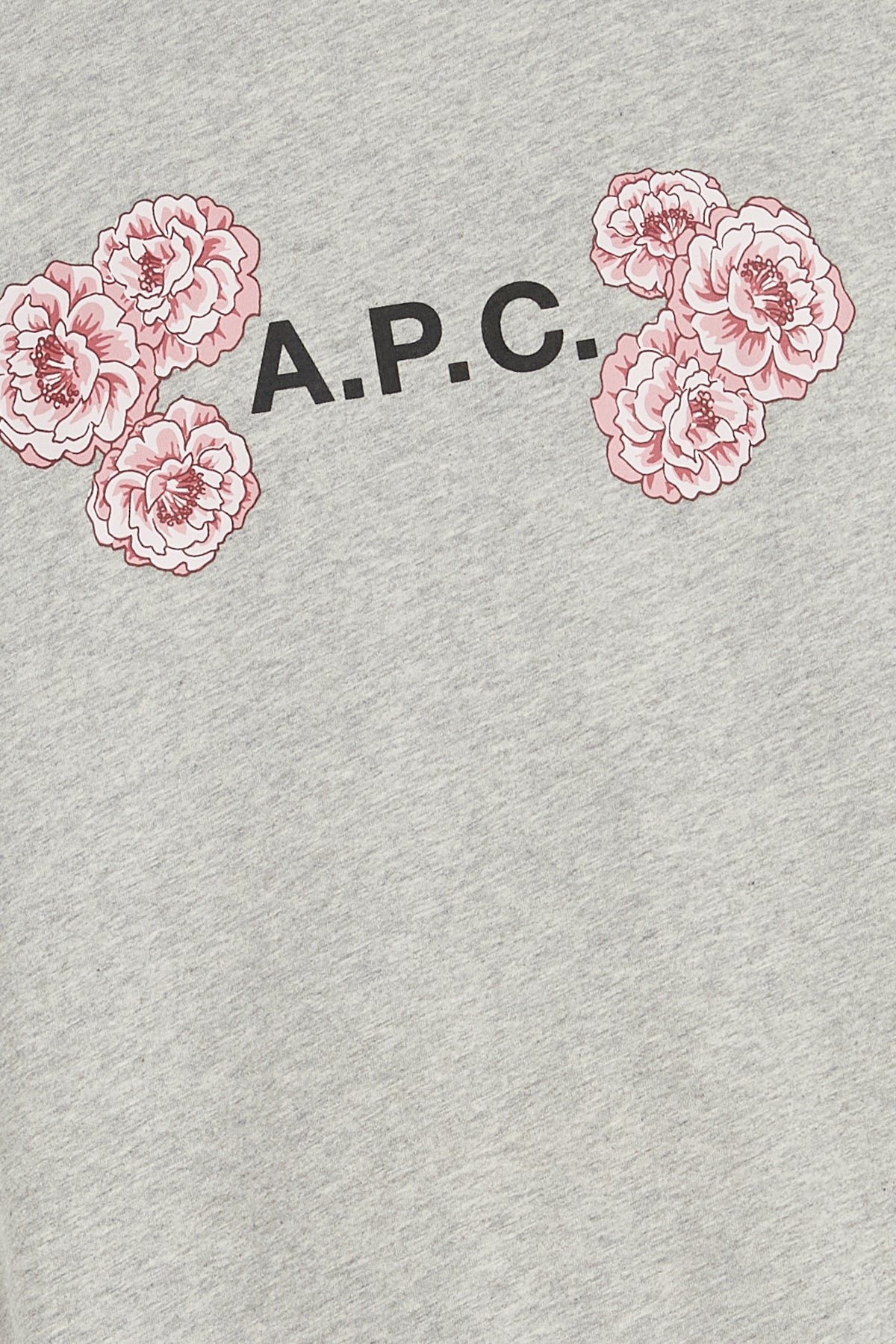 T-SHIRT_COEIOM26246_PLA_Image_3