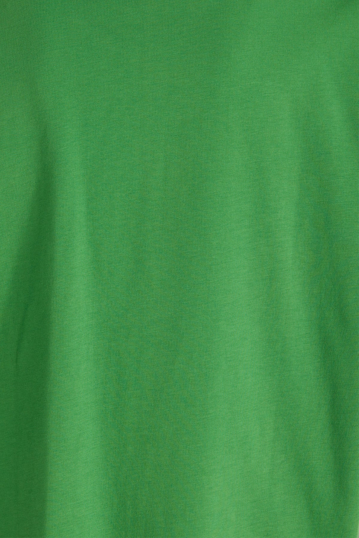 T-SHIRT_FKT015051_2_Image_3