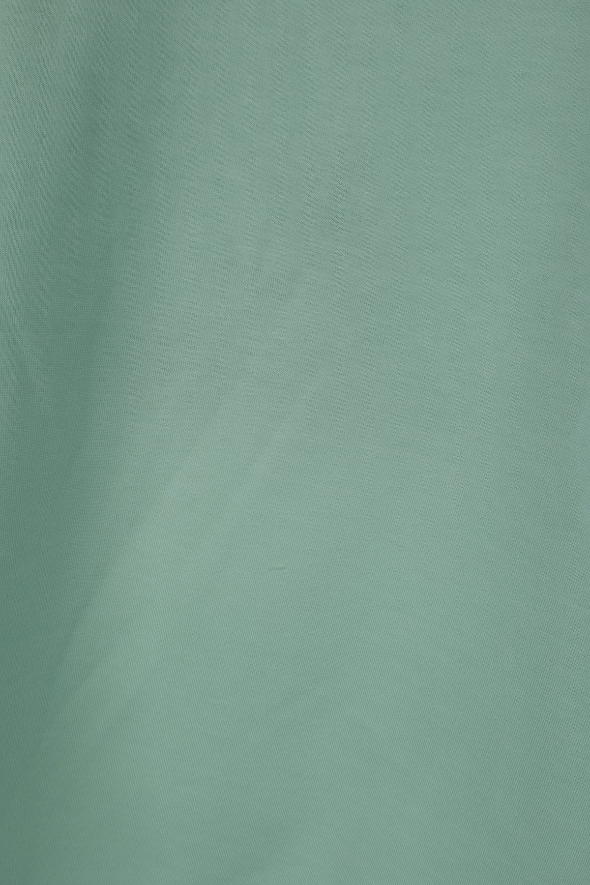 T-SHIRT_JED266F143L902_6172_Image_3
