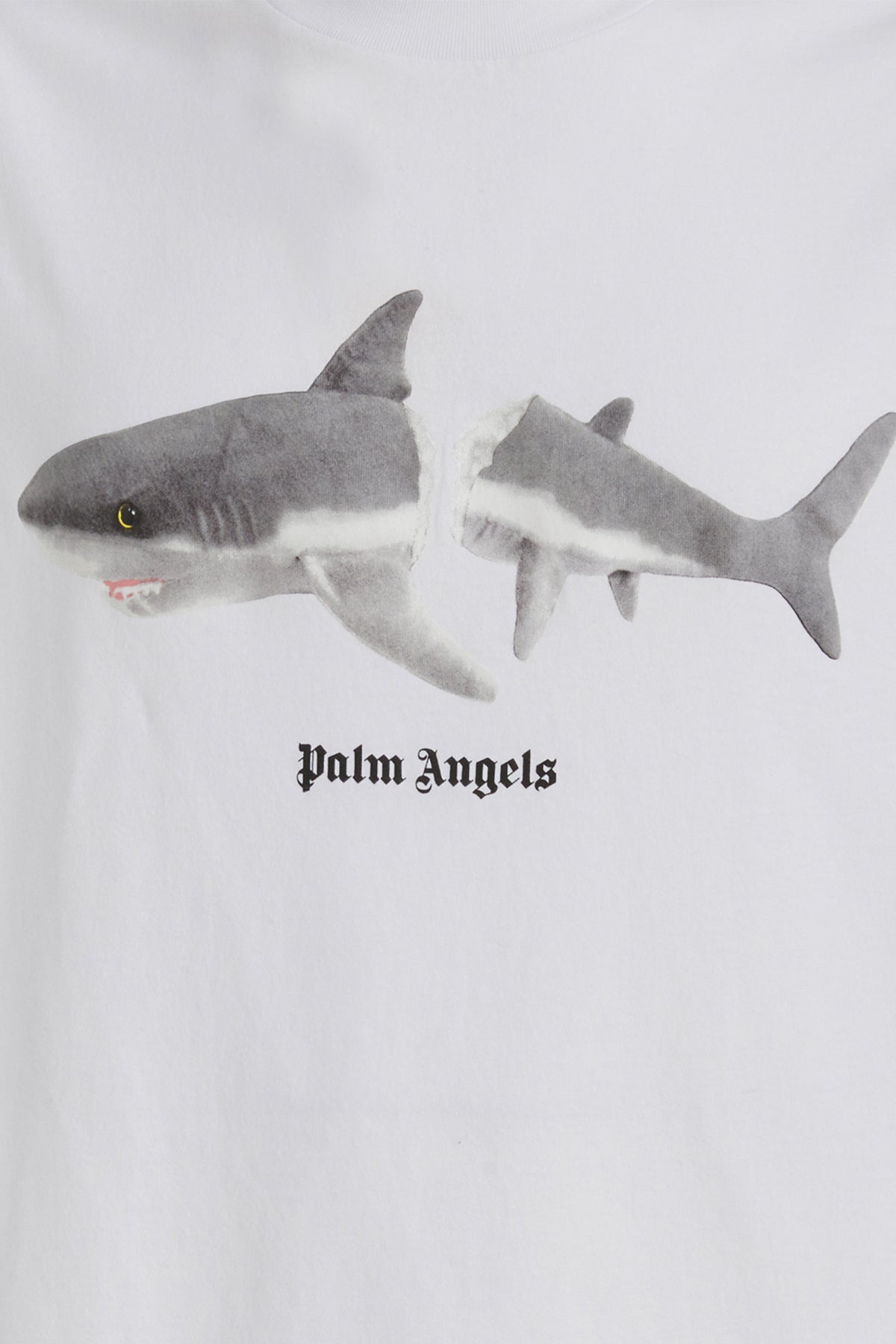 T-SHIRT_PMAA001C99JER012_0110_Image_3