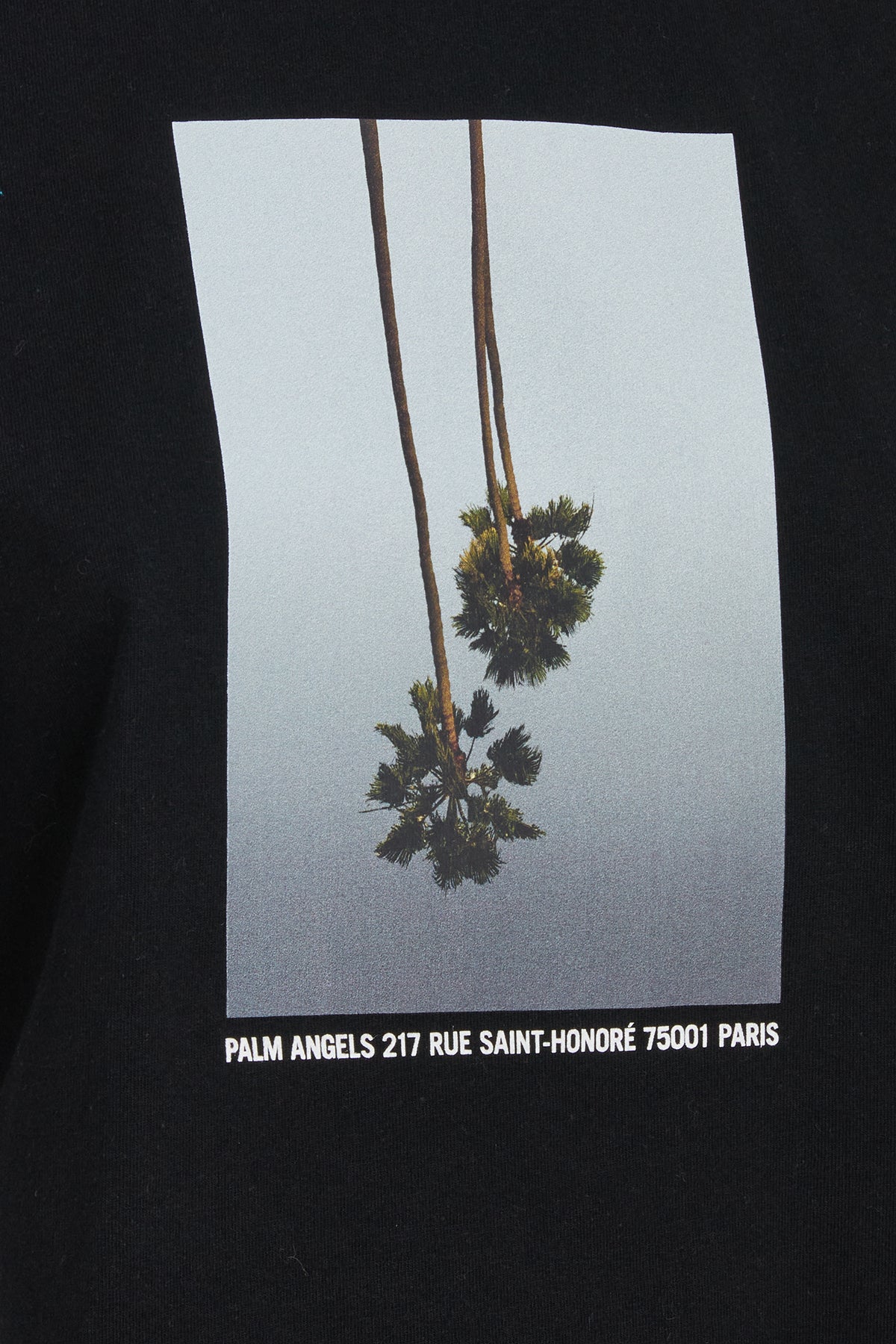T-SHIRT_PWAA020E23JER001_1005_Image_3