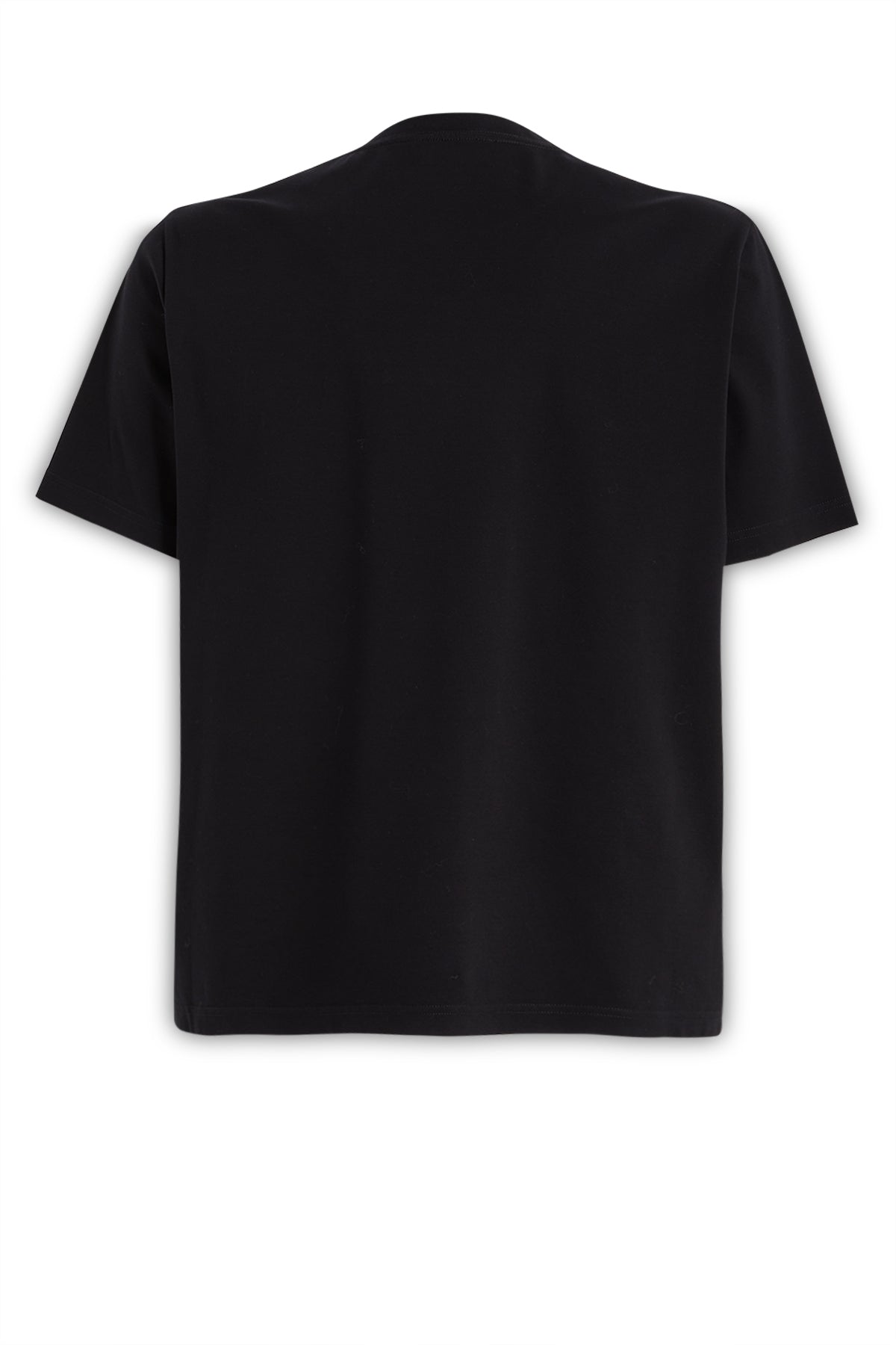 TSHIRT_RMTS0005J207P23_10_Image_2