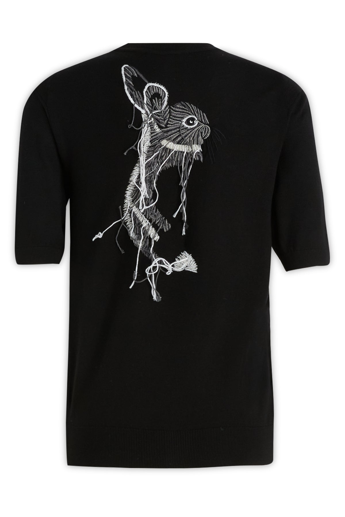TSHIRT_RWPOY014K005P23_10_Image_2