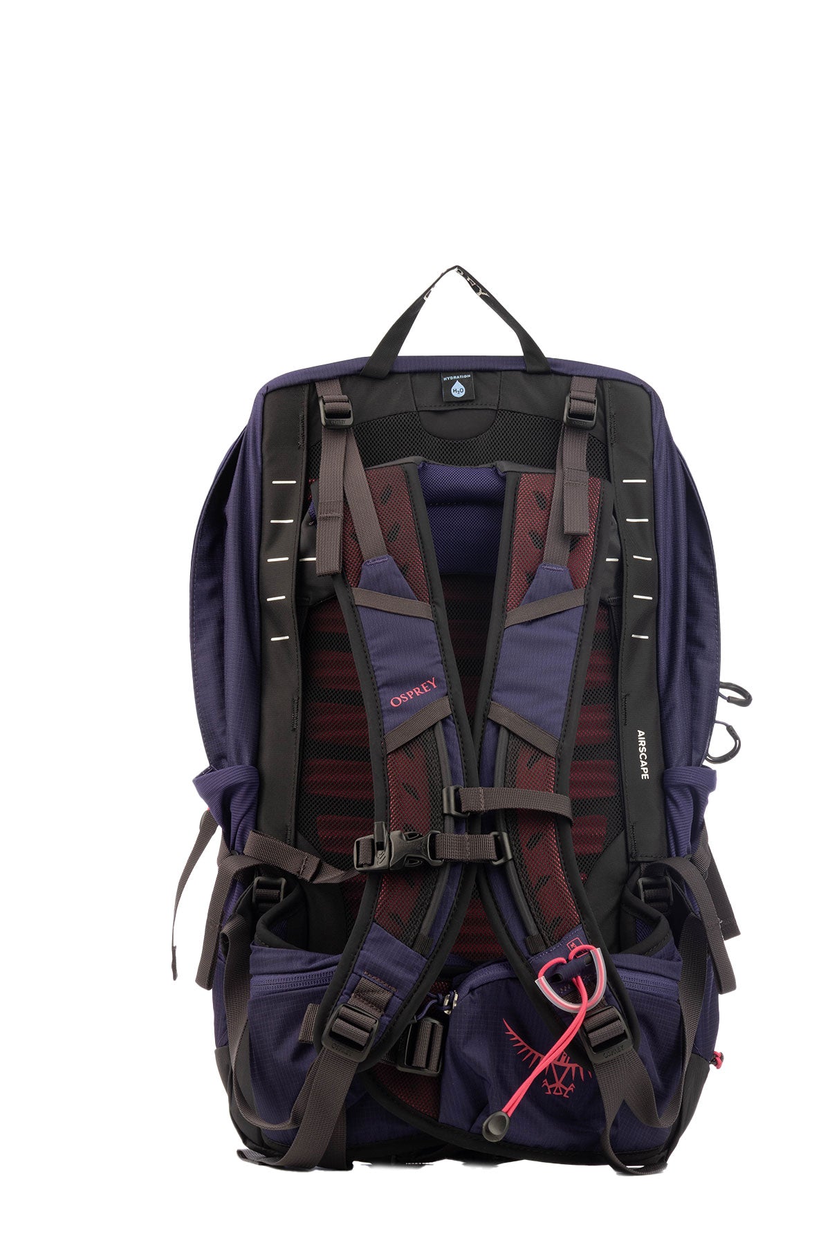 ZAINI_10006805_DEEPFIGHOTSPOTPINK_Image_3